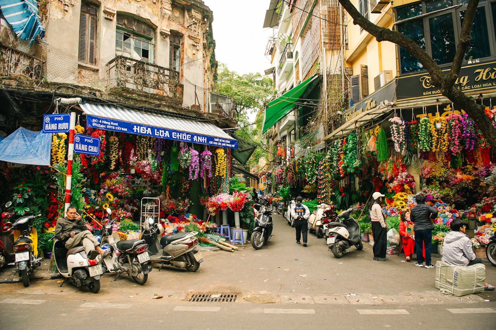 14 Night Best Of Thailand & Vietnam