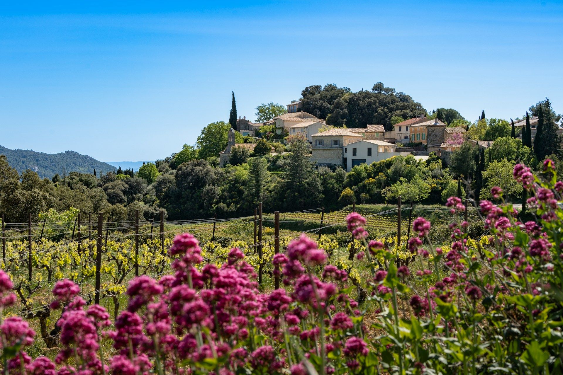 7-Night Western Mediterranean Cruise on Norwegian Epic