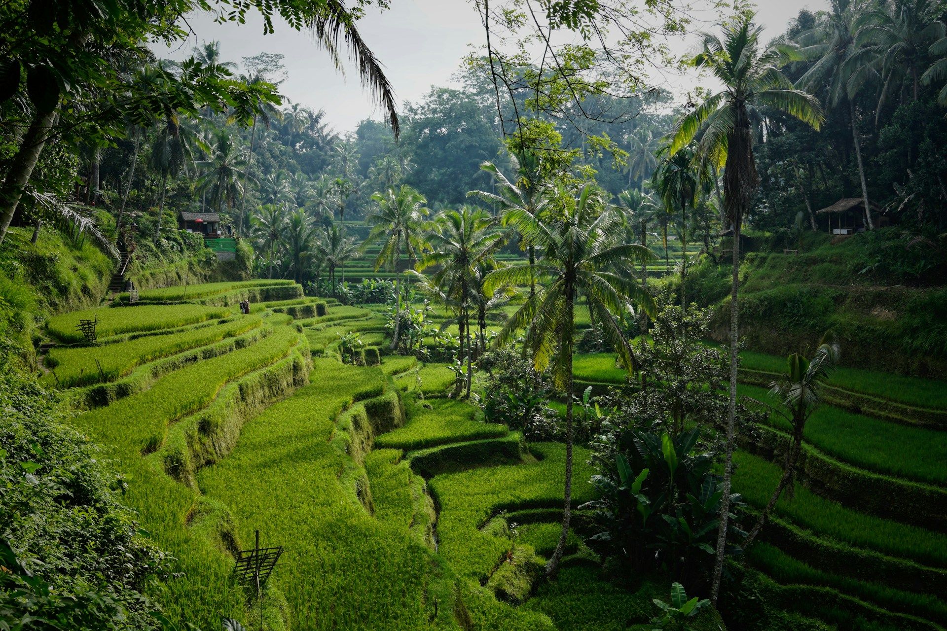 13 Night Bali, Malaysia & Thailand