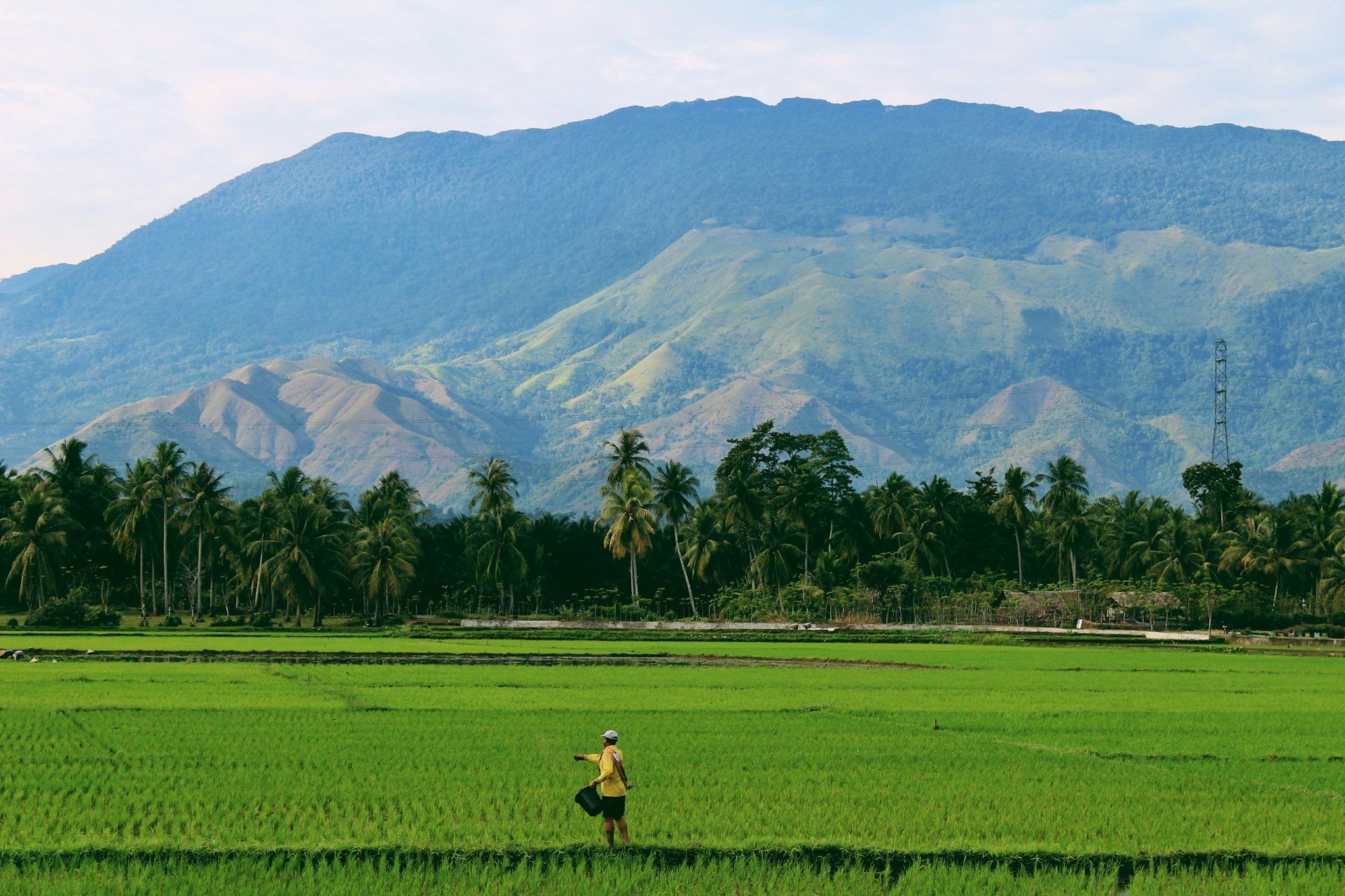 12 Night Bali, Malaysia & Thailand